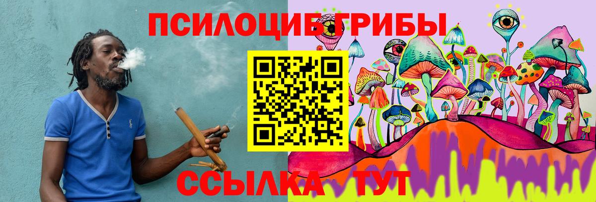 Псилоцибиновые грибы Psilocybe Советская Гавань