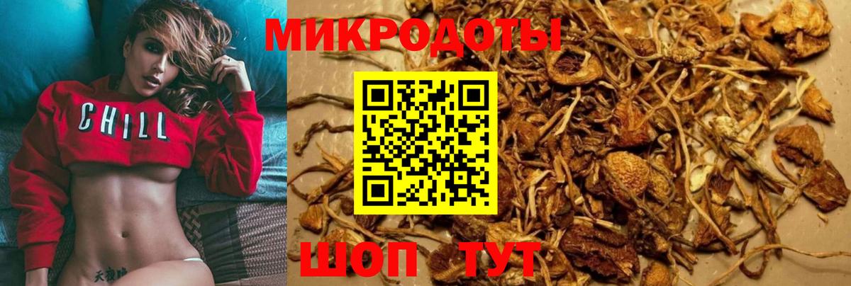Псилоцибиновые грибы мухоморы  Псилоцибиновые грибы GOLDEN TEACHER  Советская Гавань  Вход с VPN 